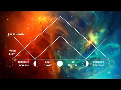 Episode 23: Gardening by the Moon