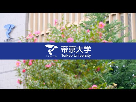 日本文化学科 【帝京ラボ】医学部内科学講座血液腫瘍研究室の研究紹介「新たな細胞療法を確立することで移植せずに血液がんを治す」