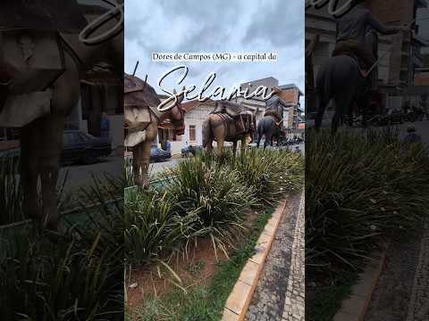Dores de Campos a capital da selaria #doresdecampos #turismo #minasgerais