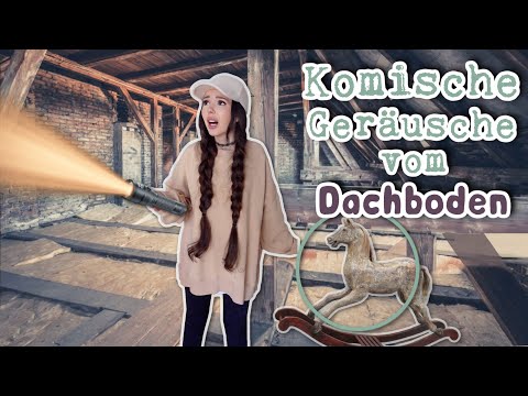 Etwas stimmt hier nicht 👻 Spukt es am Bauernhof? | ViktoriaSarina