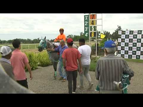 CARRERAS SINT FLORIDA - 211125 c01 !° PAISANITA CARVER MR