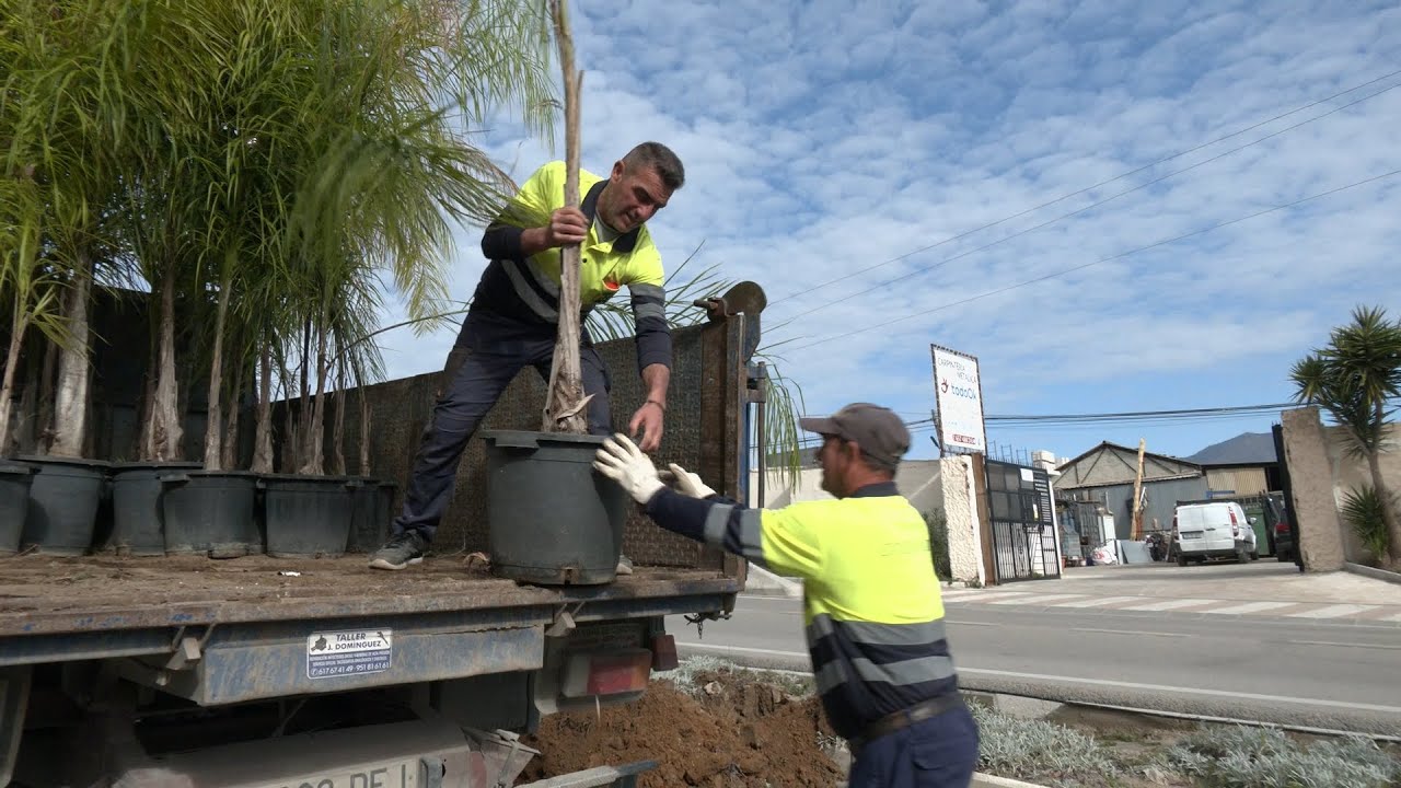 Actuaciones de embellecimiento de Parques y Jardines