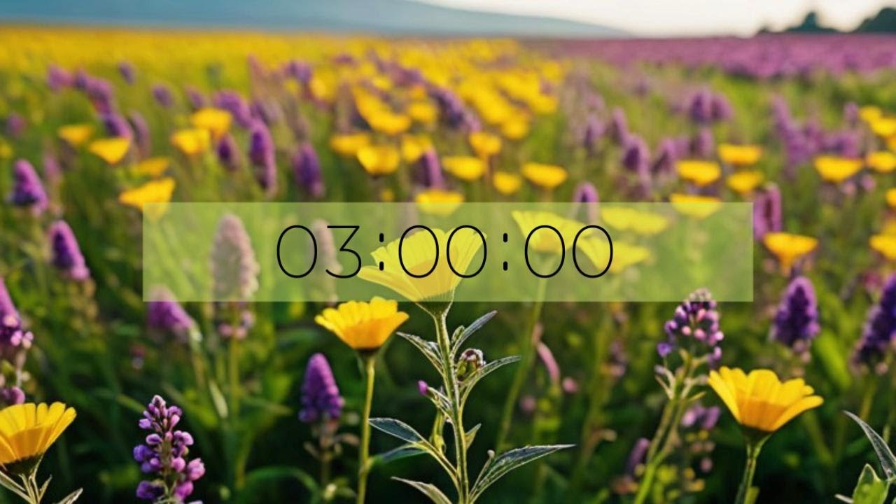 3 minute COUNTDOWN timer - SPRING - Flowers - Easter
