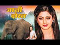 जानी दोस्त Jaani Dost Sridevi Jeetendra 80s Thriller Family Drama
