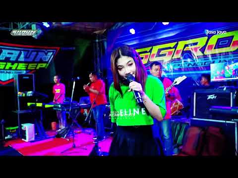 PERMATA HATI DINN ANESIA - SHAUN THE SHEEP - HAPPY PARTY OGGROZZ TEAM - PENGGUNG DUKUHSETI PATI