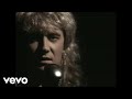Def Leppard - Have You Ever Needed Someone So Bad?