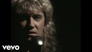Video thumbnail of "Def Leppard - Have You Ever Needed Someone So Bad?"