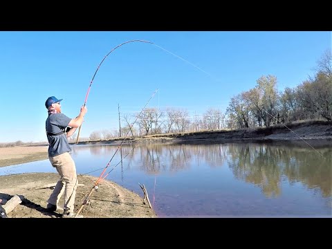 The BEST RIG for COLD WATER Catfish!! (I could barely keep a rod in the water)