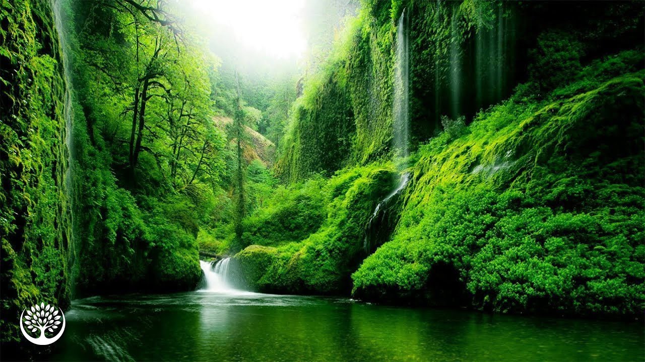 Beautiful Relaxing Music - Stop Overthinking, Stress Relief Music, Sleep Music, Calming Music