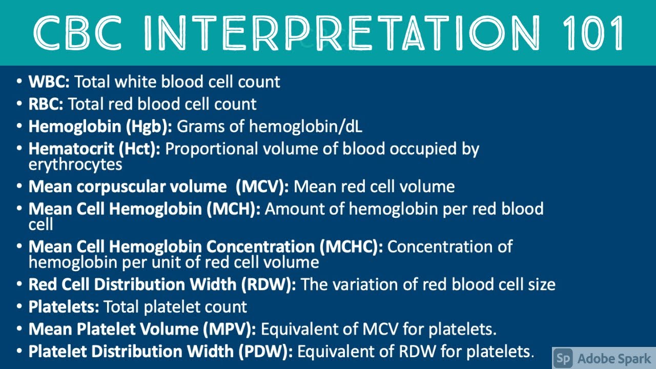 How to Interpret a CBC (complete blood count) (Hematopathology & Hematology with Dr. Jeanette Ramos) - YouTube