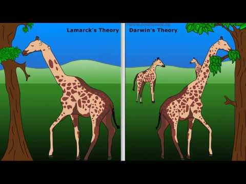 WCLN - Lamarck Vs Darwin