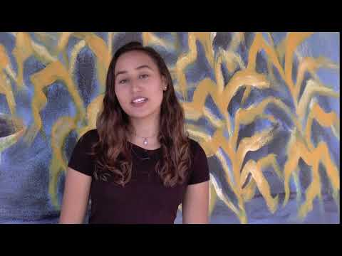 Broward County School Options Magnet Programs