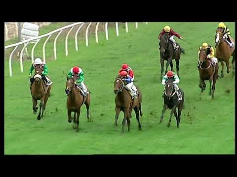 Napoli Galoppo 6/12/2021 - 2ª corsa