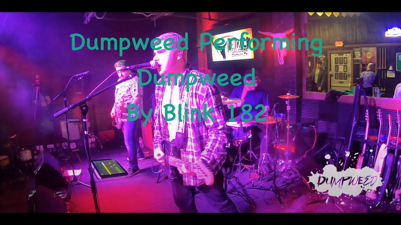 Promotional video thumbnail 2 for Dumpweed
