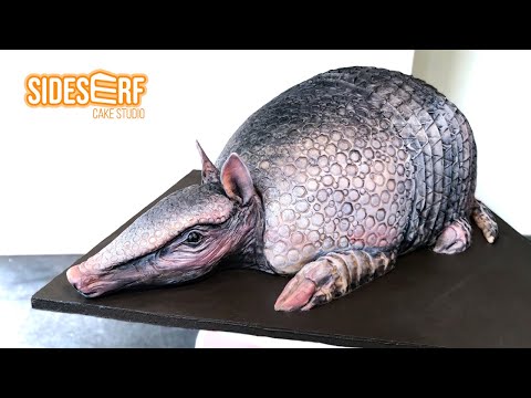 How to Make an Armadillo CAKE like Steel Magnolias!