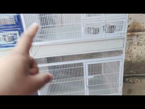Cages 2p 3x2.5x2.5 with angle door and revolving system #cage #cages #houseofcage #houseofcagelahore