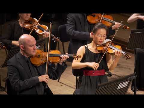 Mozart's Symphony No. 40 (first movement) – performed live by the London Mozart Players