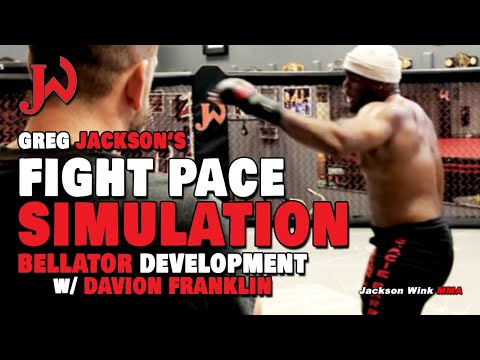 Greg Jackson's Fight Pace Simulation
