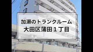 YouTube動画