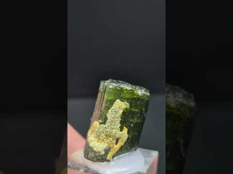 Tourmaline (Araçuaí , Minas Gerais -Brazil )