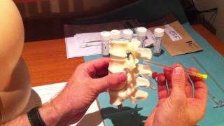 Lumbar Puncture Series - 4 Lumbar Spine Anatomy and Needle Trajectory