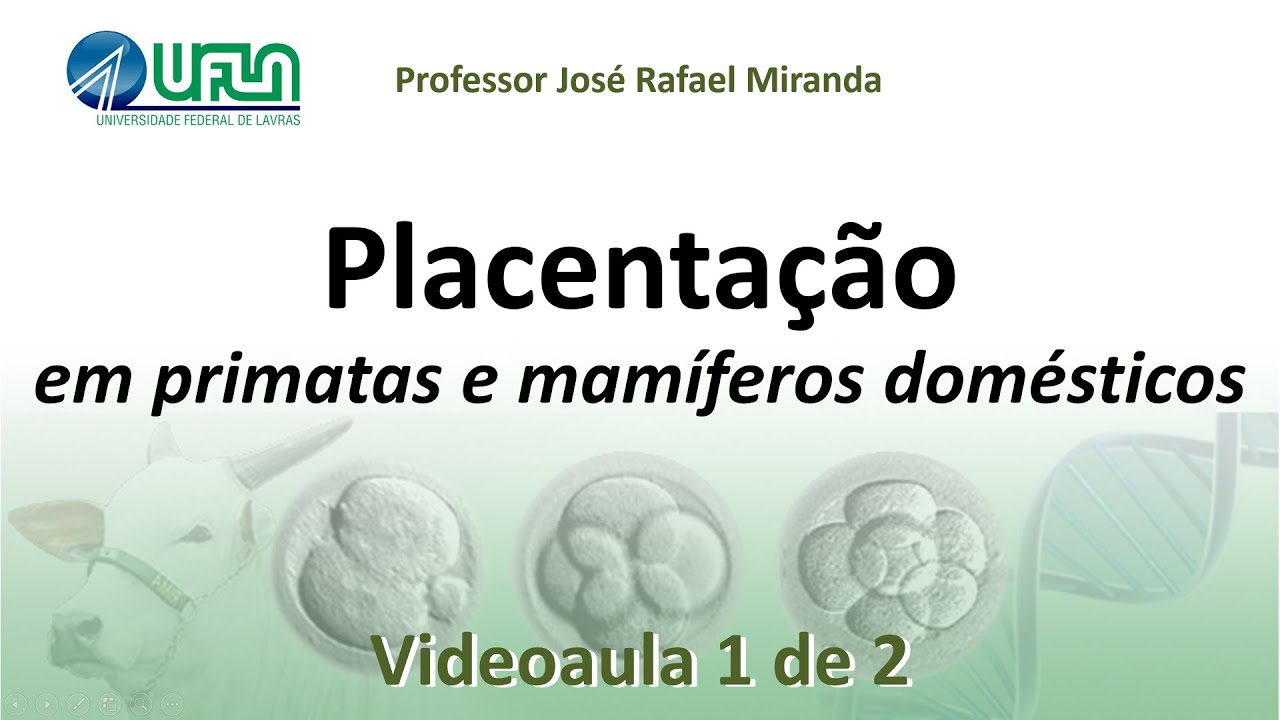 Placentação em primatas e mamíferos domésticos - Videoaula 1