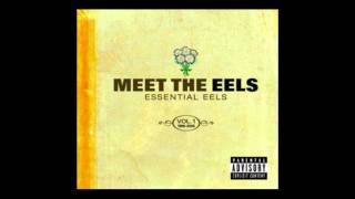 Eels- Beautiful Day (It&#39;s A Beautiful Day/ Mr. E&#39;s Beautiful Blues)