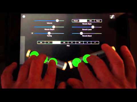 "Irish Flute Pro" - Traditional Irish Wooden Flute for iPad