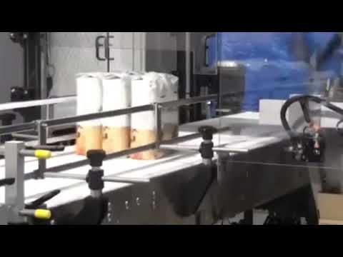 【Case Packer】Testing video Automatic Top Load Case Packer@TECHFLOW PACKAGING SOLUTIONS