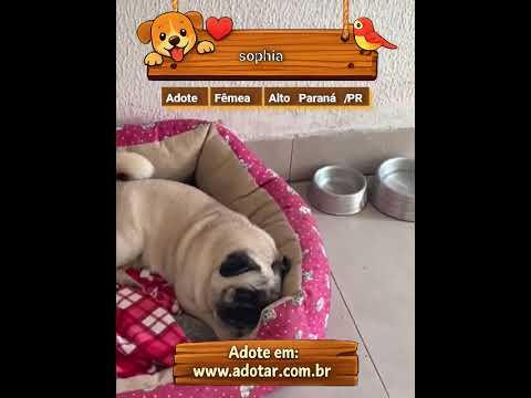 Vídeo de sophia