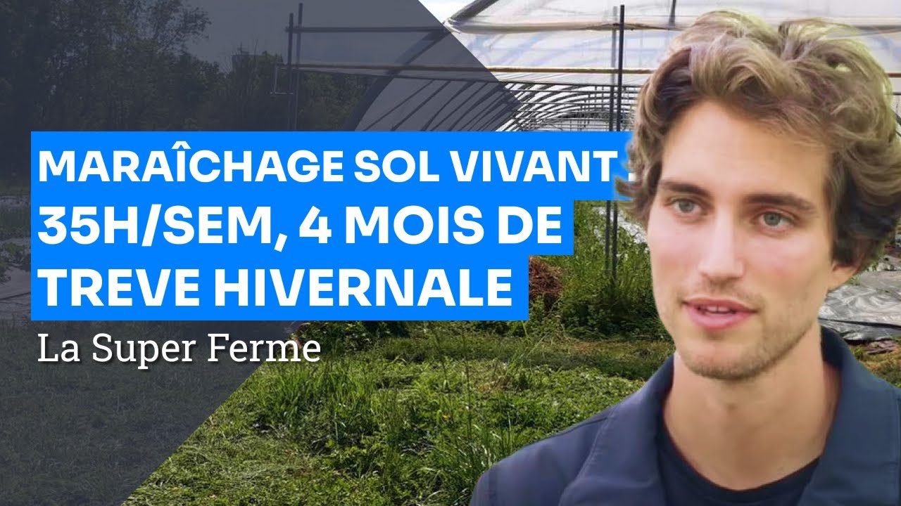 MSV en ville sur 5000 m² -  Portrait de ferme MSV : La Super Ferme (17) - 2023