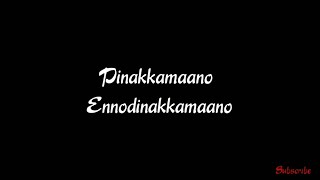 Pinakkamano Ennodinakamano Lyrics/Anandabhadram Ma