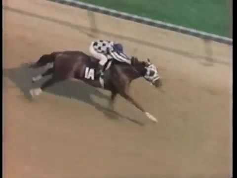 Legend of Big Red   Secretariat mp4