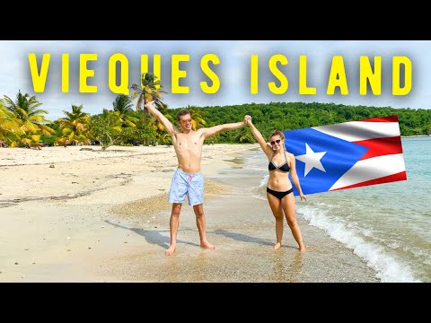 VIEQUES ISLAND TOURIST GUIDE (Top 4 things to do)
