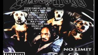 Snoop Dogg feat. Nate Dogg &amp; Xzibit - Bitch Please