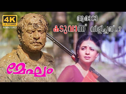 "ആരാടാ കടുവാന്ന് വിളിച്ചത്..?" | Megham | 4K Scene | Mammootty | Priya Gill | Sreenivasan