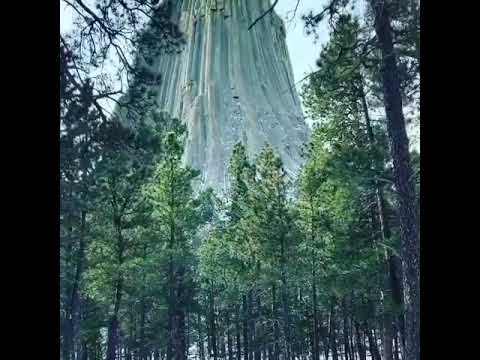 Природа #лес #снег#поставьте лайк💖