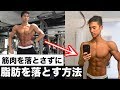 筋肉を落とさずに脂肪を落とす方法がこれ!【効率の良い減量】