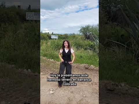 🟢LOTE EN VENTA- BARRANCA COLORADA ARRIBA- MERLO, SAN LUIS🔵