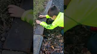 Georgie meets pennywise bloopers red desc