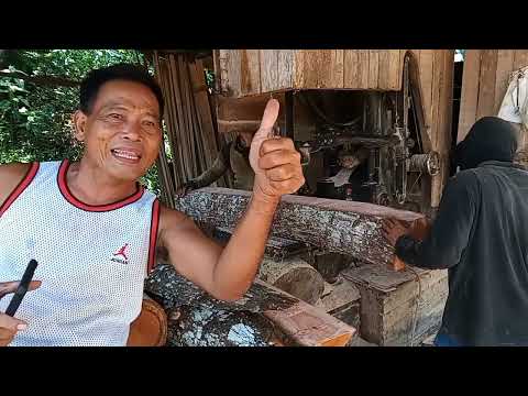 merahnya kayu mahoni