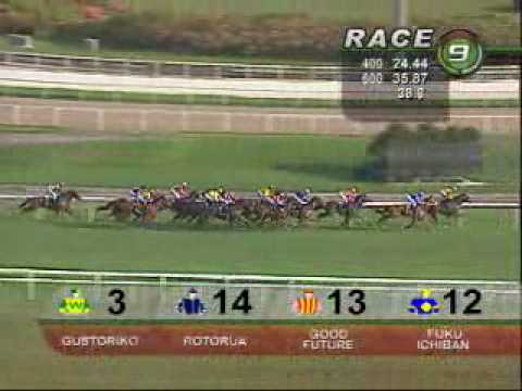 MAGIC MILLIONS JUVENILE CHAMPIONSHIP 25/07/10 - GINGERBREAD MAN