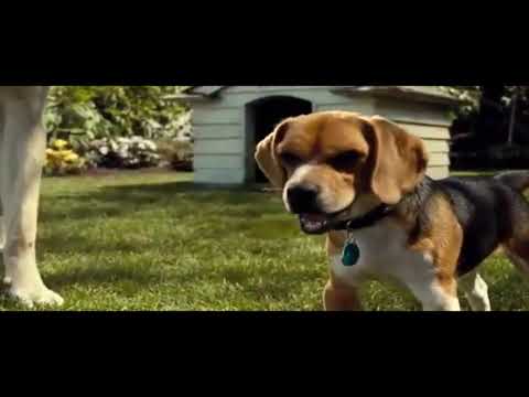 "Lou" (Bolt) Part 4 - The Message