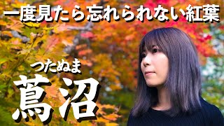 【質問コーナー付】青森で有名な十和田湖&蔦沼の紅葉一緒に見よ？【デート】