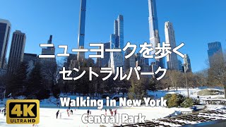 【4K】ニューヨークを歩く。セントラルパーク、マンハッタン。Walking in New York. Central Park, Manhattan.
