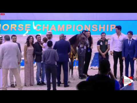 1ST-N.163 D SERAJ - Dubai 2016 - Yearling Colts Championship (Class 19)