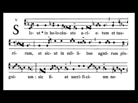 Offertory chant EF: 7th Sunday after Pentecost - Sicut in Holocausto