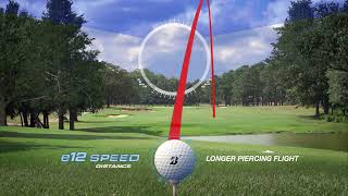 The New e12 Series || Windows