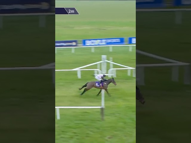 Thumbnail for Post ID: BJXNQrHzBIw