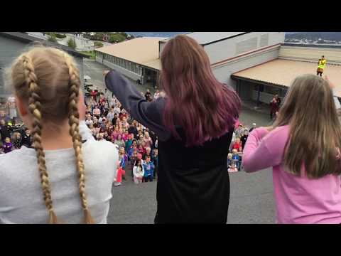 Hessa skole BlimE 2017